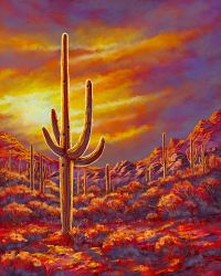 Southwest Paintings